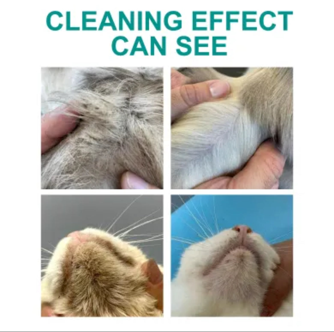 Removing Pet Grooming Gloves
